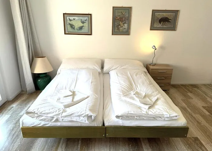 Apartman Mayenzett 33 *