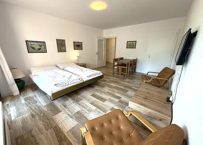 Mayenzett 33 Apartman *