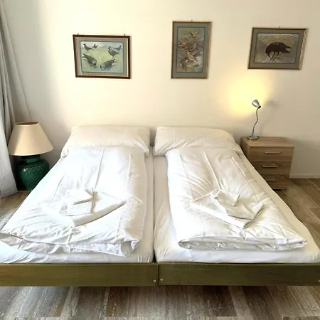 Διαμέρισμα Mayenzett 33 *